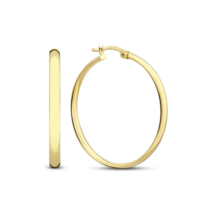 Faye Serane Oorbellen | Goud