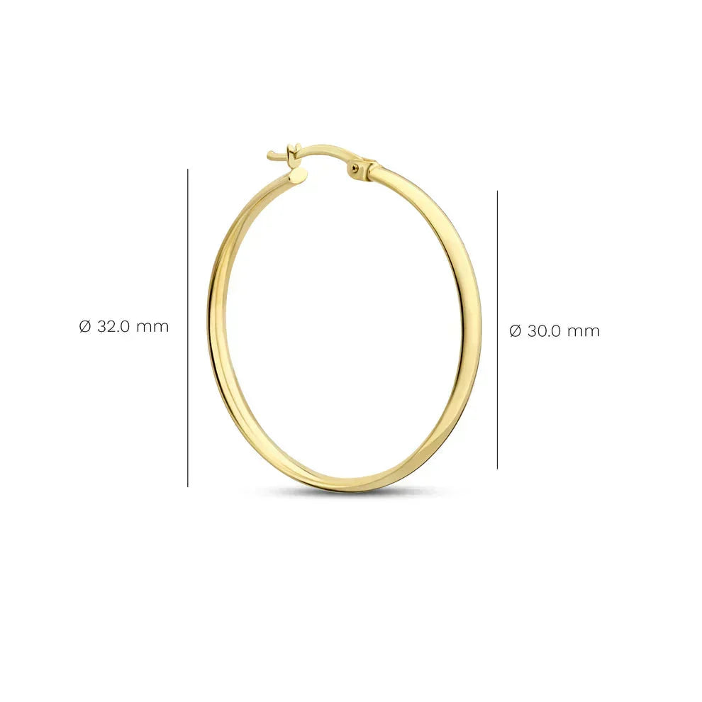 Faye Serane Oorbellen | Goud