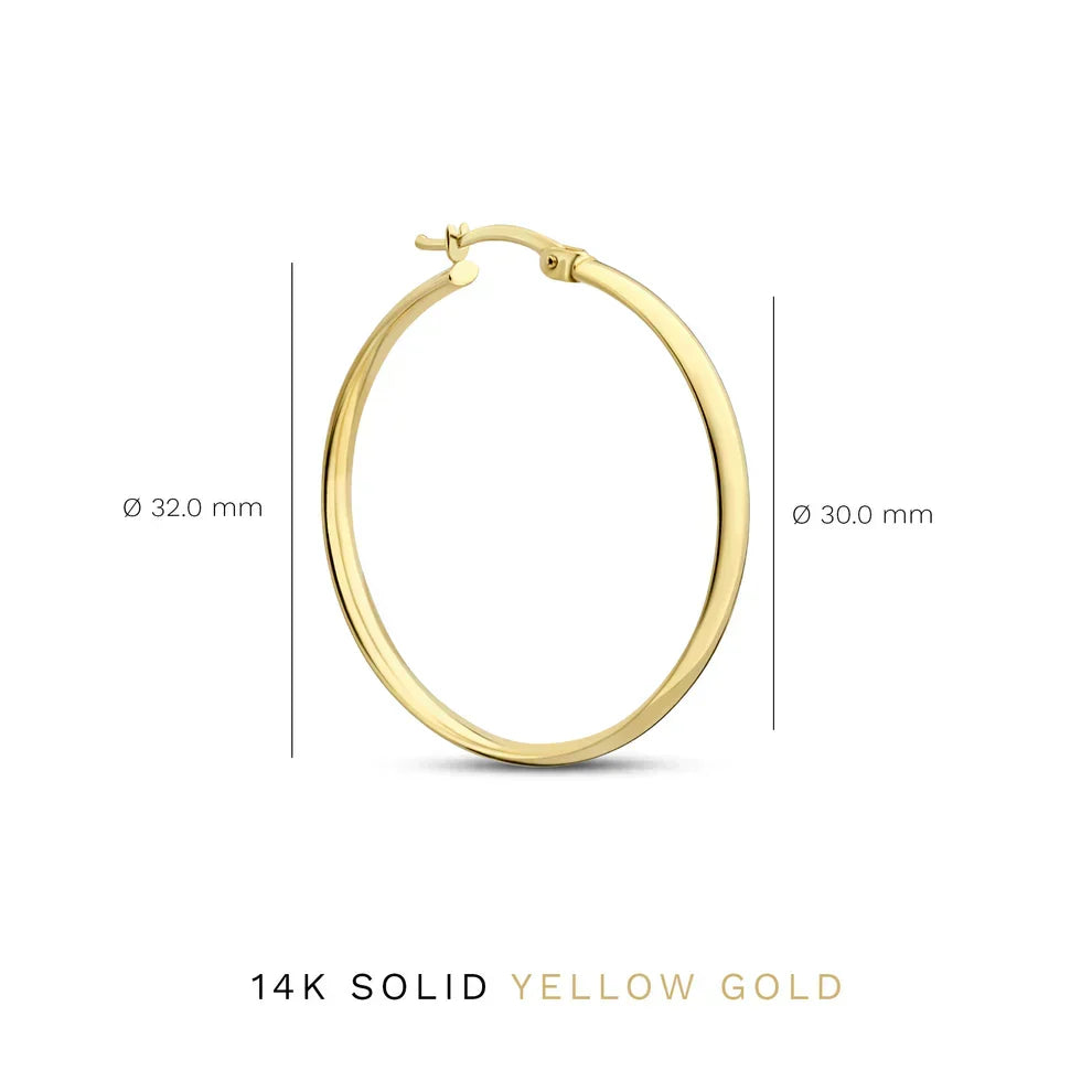 Wren Serane Oorbellen | Wit Goud