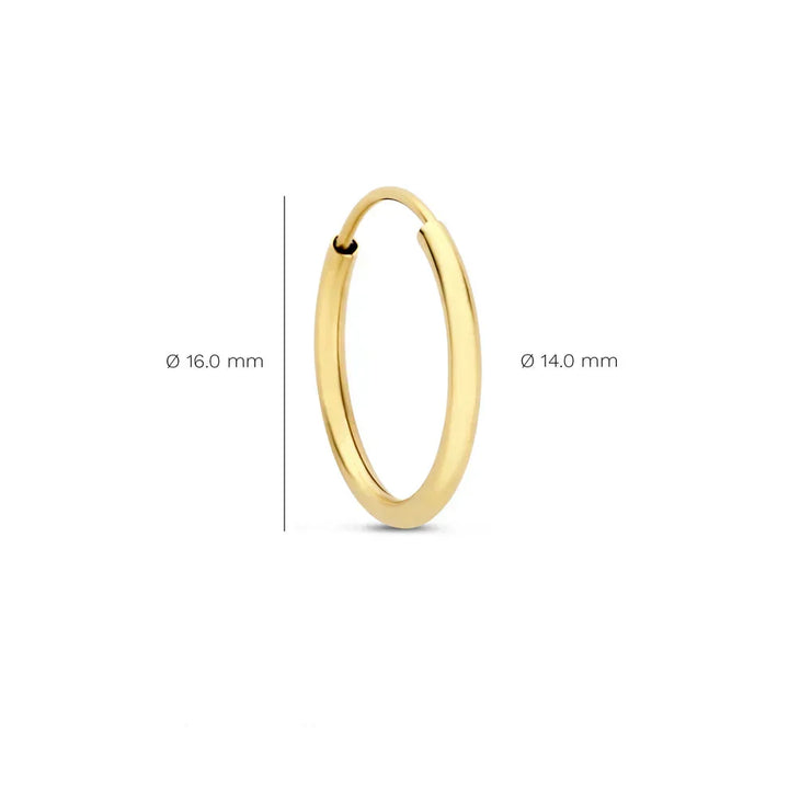 Thea Sorel Oorbellen | Goud